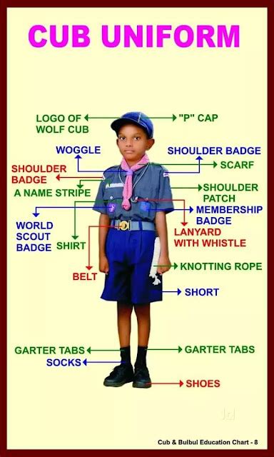 scout and guide dress|bsg cub uniform.